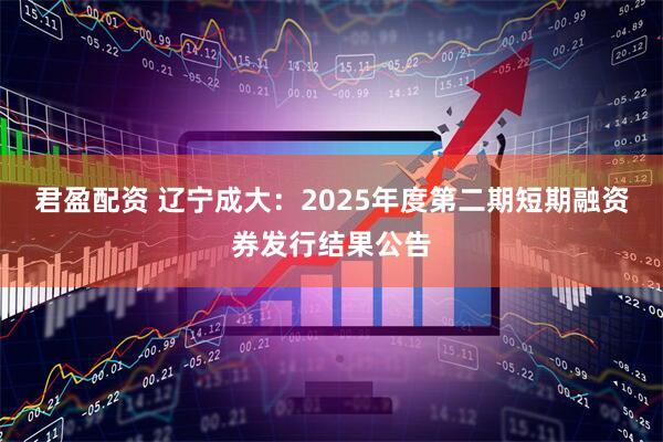 君盈配资 辽宁成大：2025年度第二期短期融资券发行结果公告