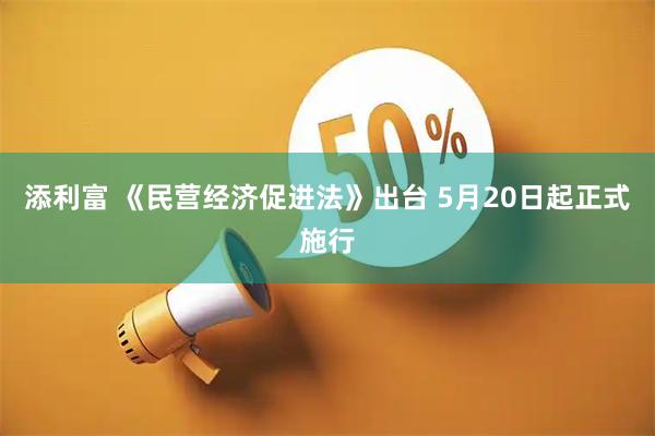 添利富 《民营经济促进法》出台 5月20日起正式施行