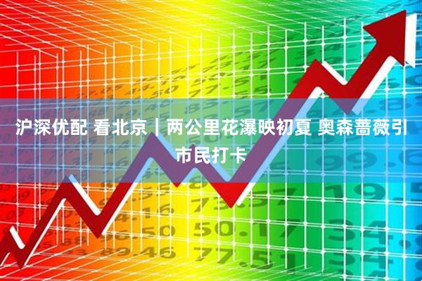 沪深优配 看北京｜两公里花瀑映初夏 奥森蔷薇引市民打卡